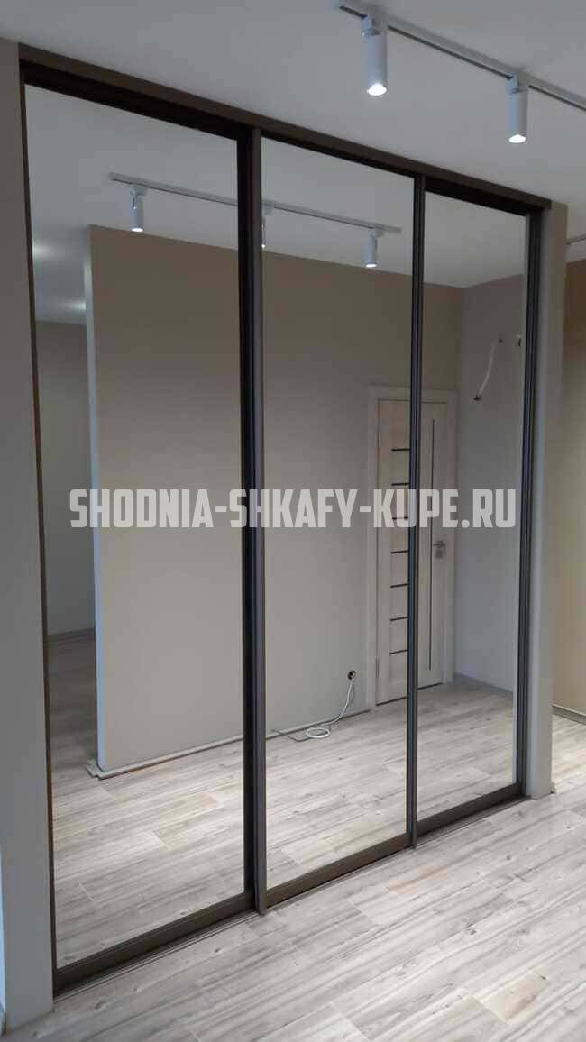 Встроенные шкафы-купе Сходня